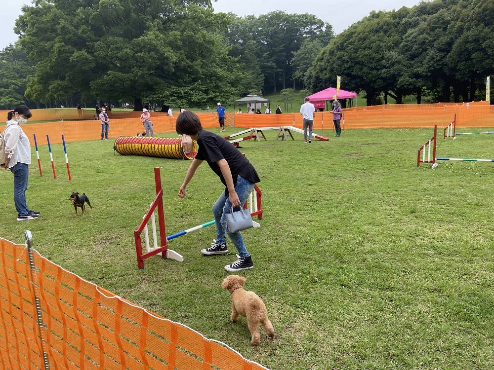 6月のドッグランを開催しました。|｜ブログ|根岸森林公園公式サイト
